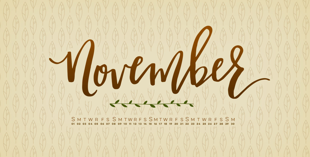 november script font free download