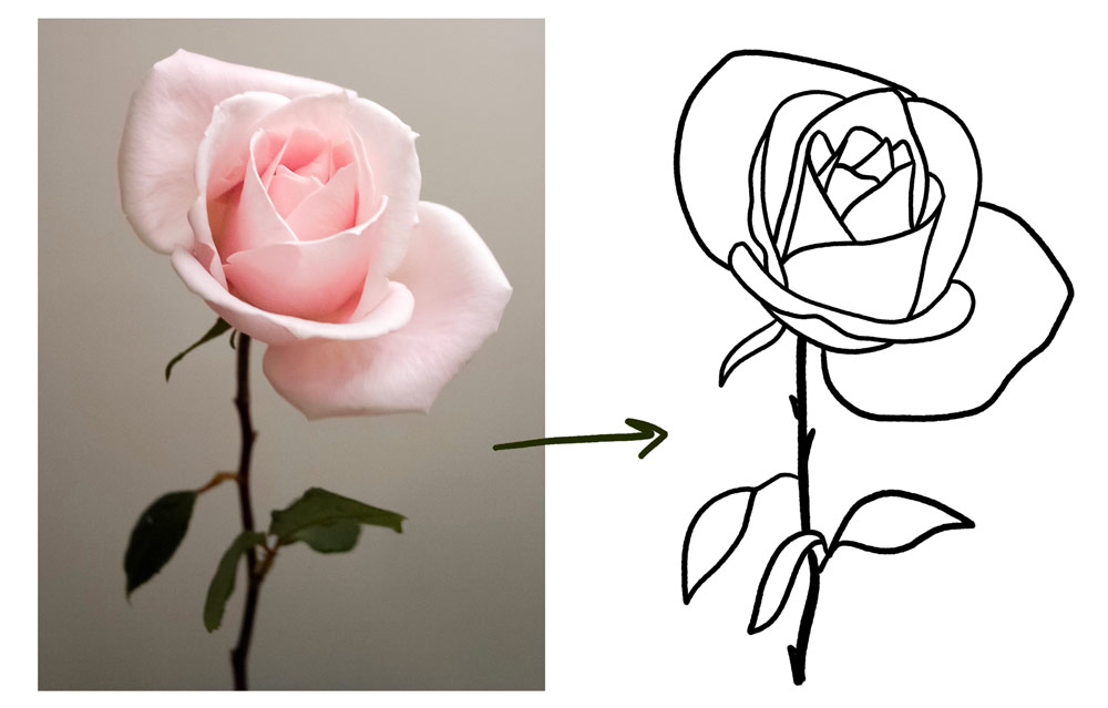 simplifying a rose