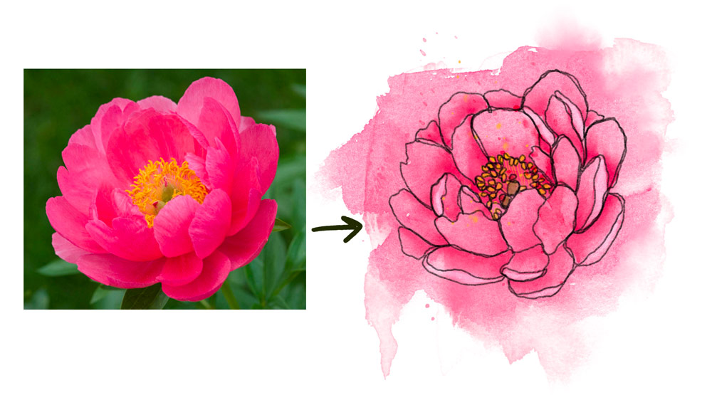 peony flower doodle example