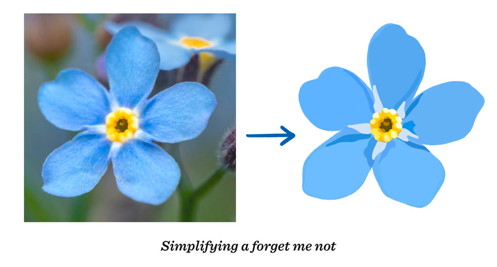 simplifying a forget me not in the flat style