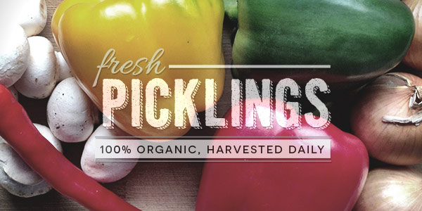 fresh picklings preview