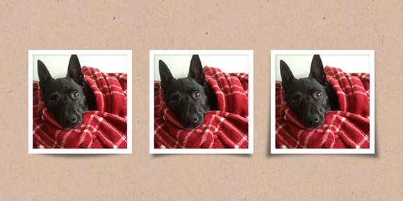 illusion shadows preview