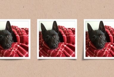 illusion shadows preview