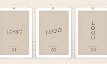 how to show logo options preview image
