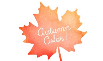 Autumn color palettes