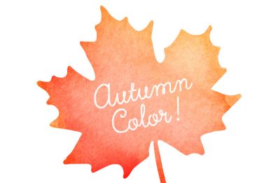 Autumn color palettes