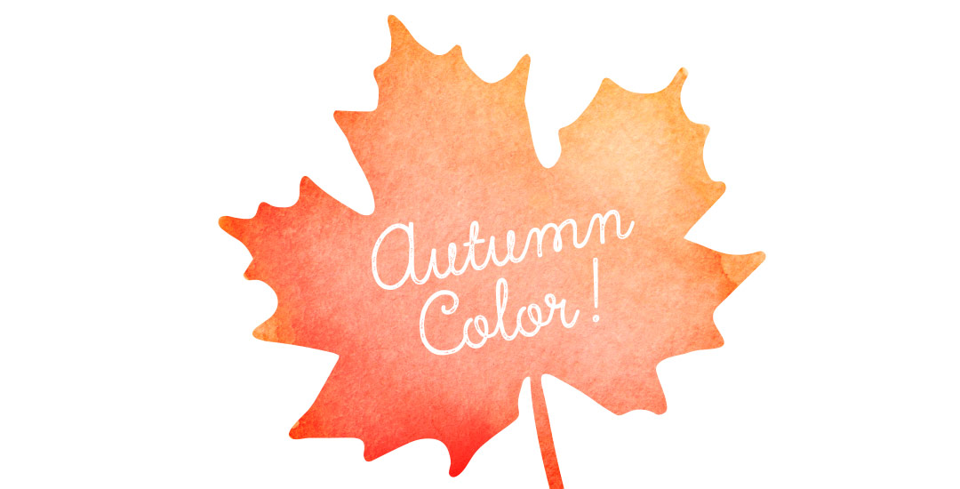Autumn color palettes