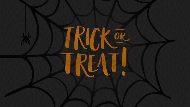 hand drawn vector spider webs