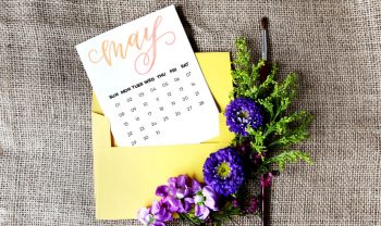 may desktop wallpaper preview