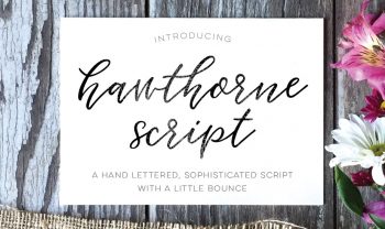 Introducing Hawthorne Script