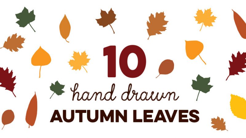 Hand Drawn Leaves