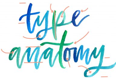 a colorful crash course in type anatomy