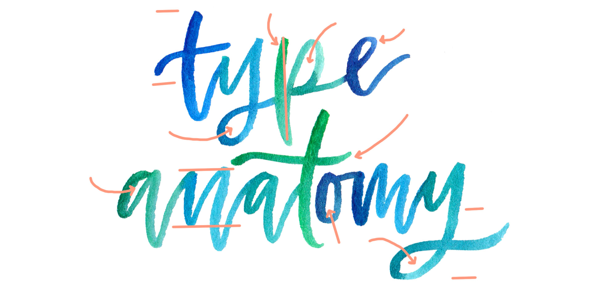 a colorful crash course in type anatomy