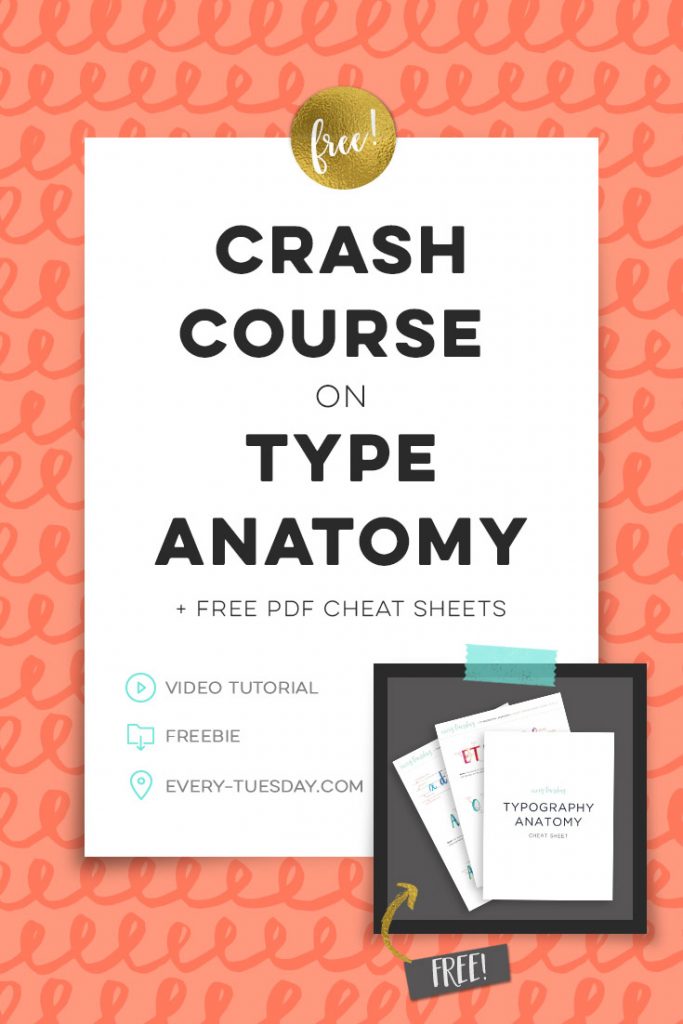 a colorful crash course on type anatomy
