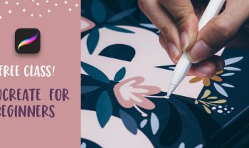 free course! procreate for beginners