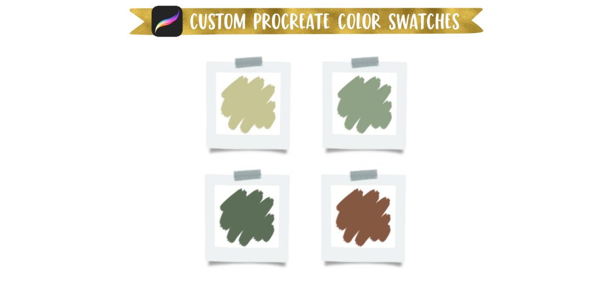 3 Eucalyptus Types Anyone Can Draw