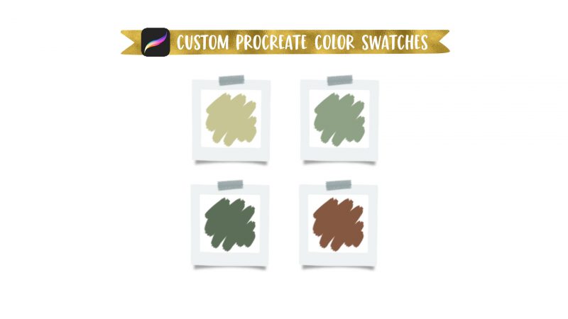 3 Eucalyptus Types Anyone Can Draw