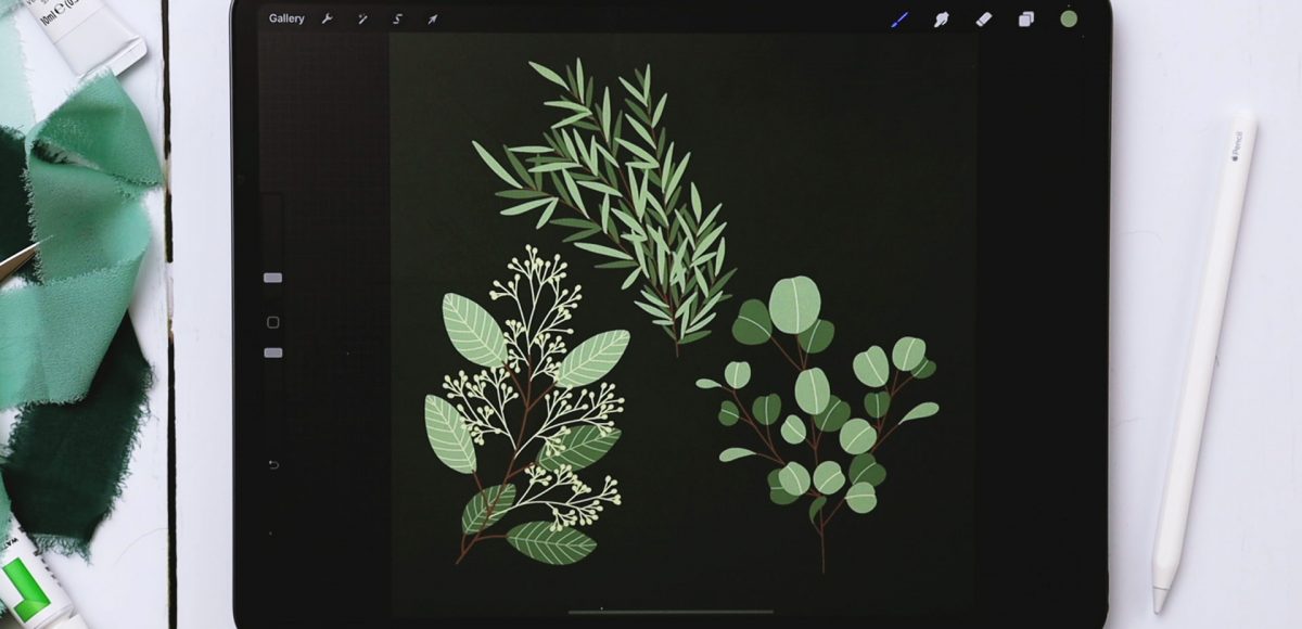 3 Eucalyptus Types in Procreate