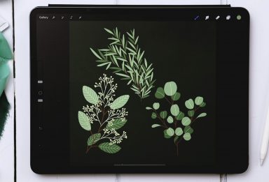 3 Eucalyptus Types in Procreate