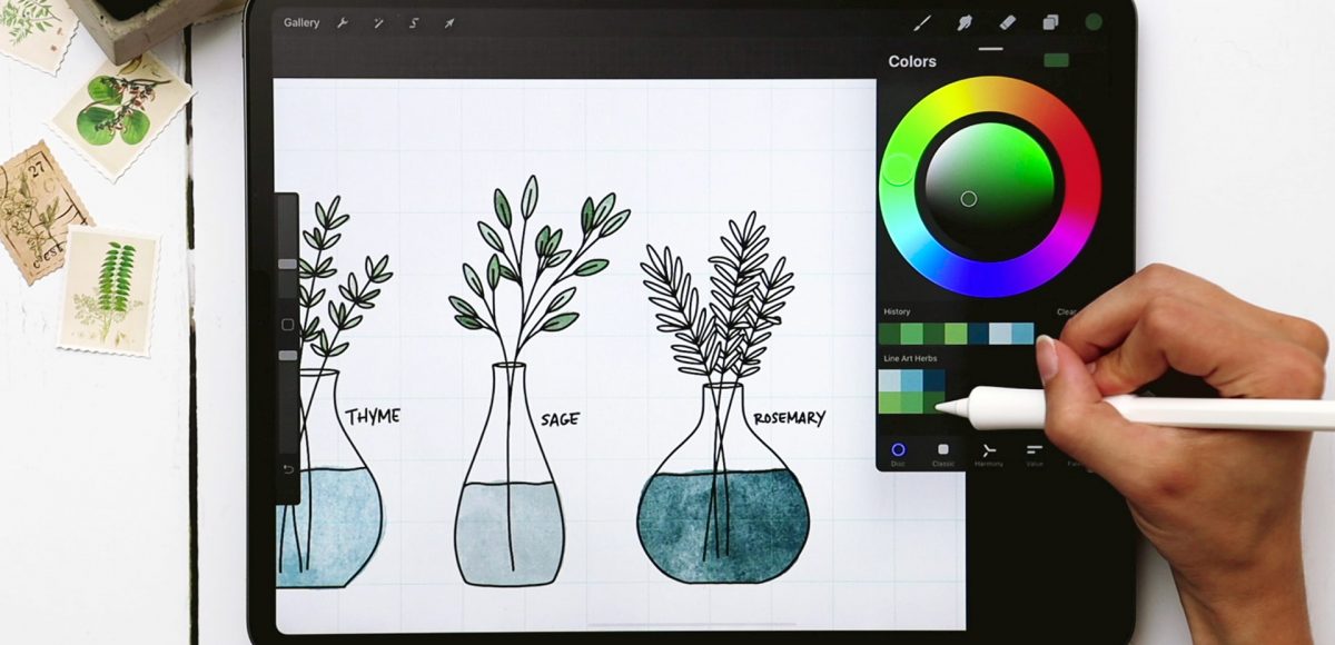 3 Line Art Herbs in Procreate