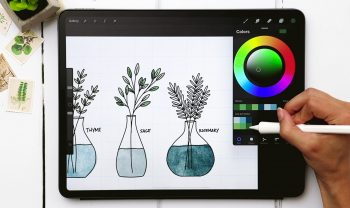 3 Line Art Herbs in Procreate