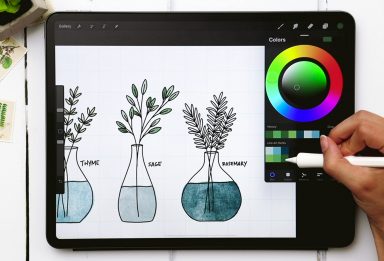 3 Line Art Herbs in Procreate
