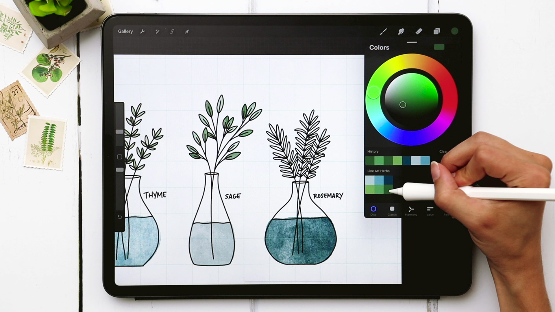 Draw 3 Line Art Herbs in Procreate - Every-Tuesday | Blog | Every-Tuesday