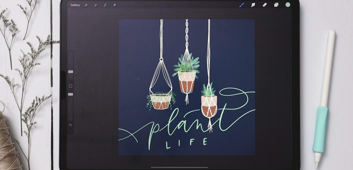 3 Macrame Hanging Planters in Procreate
