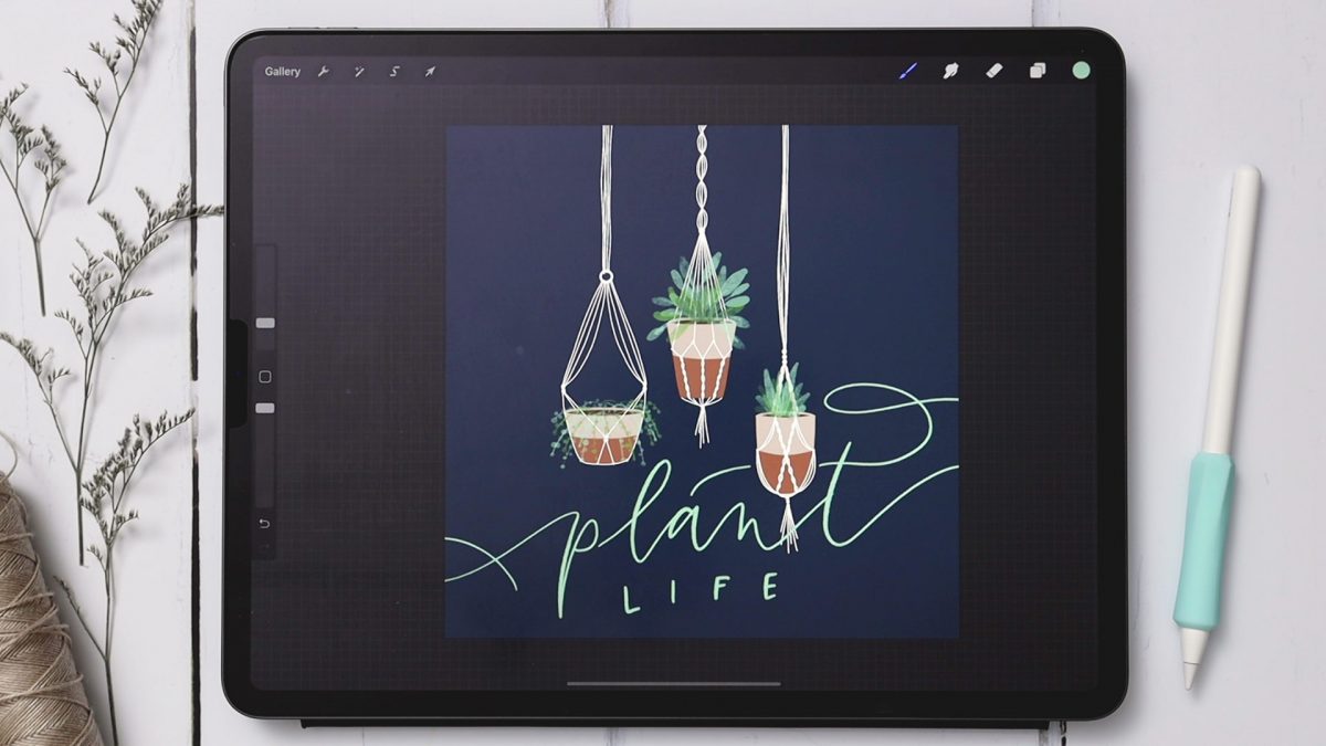3 Macrame Hanging Planters in Procreate