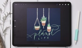 3 Macrame Hanging Planters in Procreate