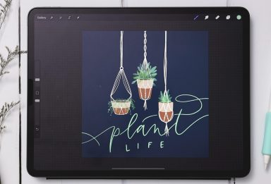 3 Macrame Hanging Planters in Procreate