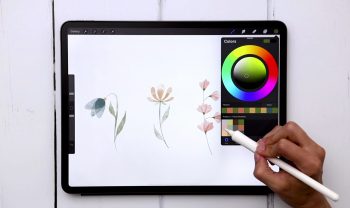 4 Watercolor Floral Doodles in Procreate