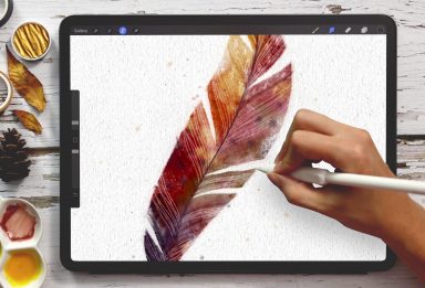 Paint a Watercolor Feather in Procreate