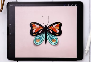 Colorful Butterfly in Procreate