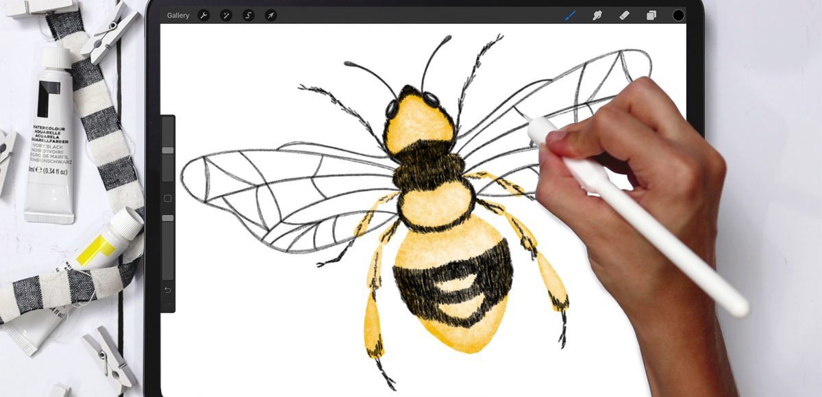 Digital Watercolor Honey Bee in Procreate