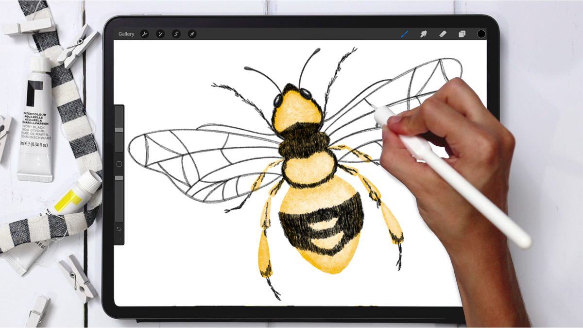 Digital Watercolor Honey Bee in Procreate
