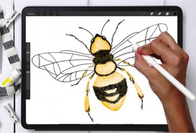 Digital Watercolor Honey Bee in Procreate