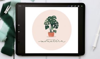 Monstera Plant in Procreate
