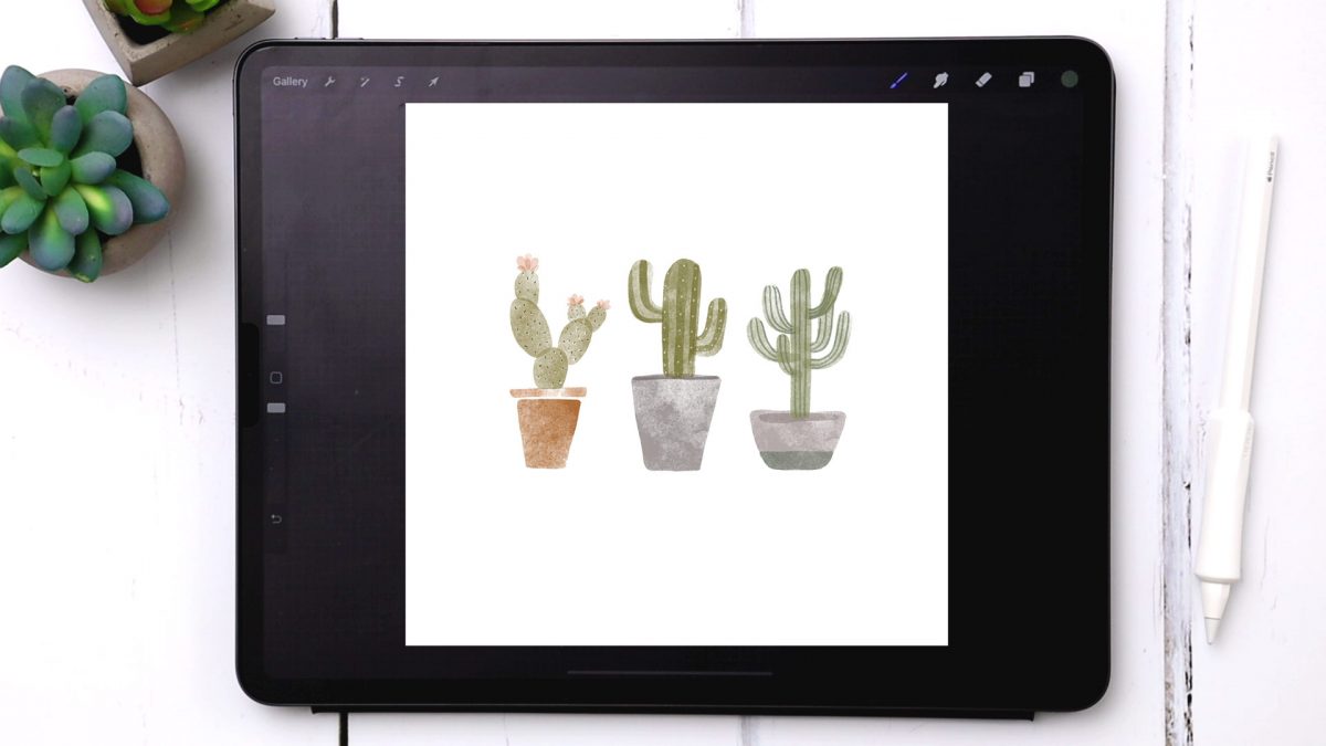 Paint 3 Watercolor Cactus Doodles in Procreate