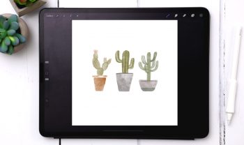 Paint 3 Watercolor Cactus Doodles in Procreate