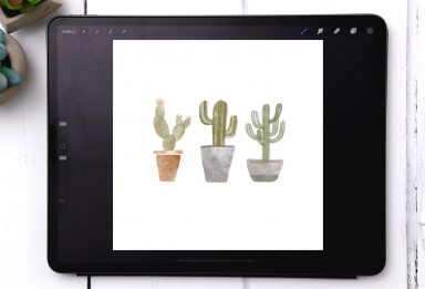 Paint 3 Watercolor Cactus Doodles in Procreate