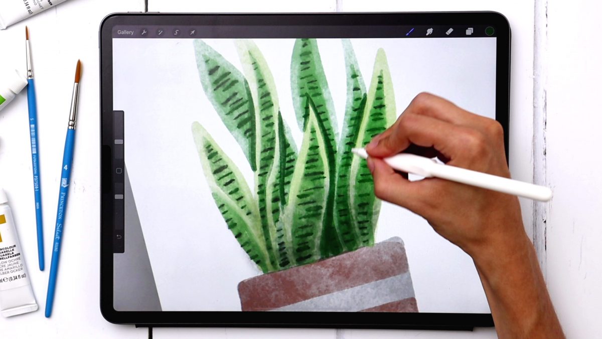 Paint Watercolor Snake Plant in Procreate
