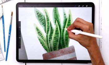 Paint Watercolor Snake Plant in Procreate