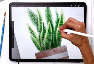 Paint Watercolor Snake Plant in Procreate