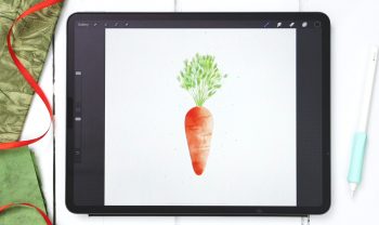 Watercolor Carrot Doodle in Procreate
