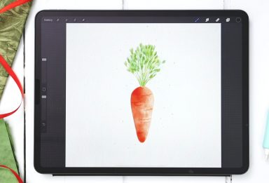 Watercolor Carrot Doodle in Procreate