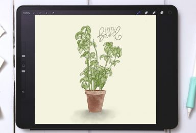 Watercolor Sketch Style Basil in Procreate