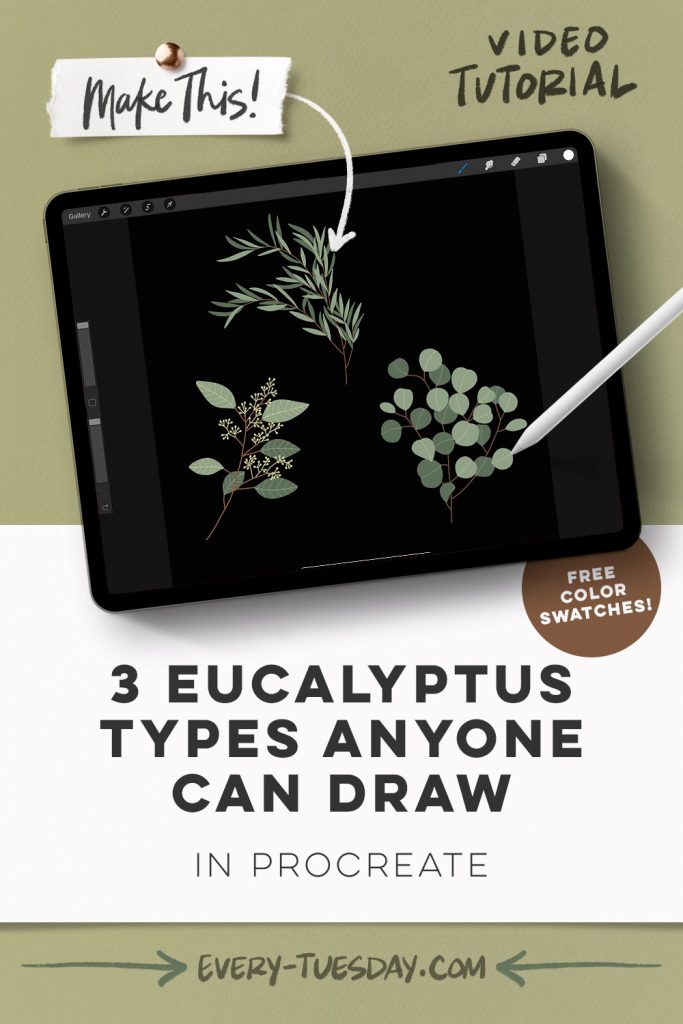 3 Eucalyptus Types Anyone Can Draw in Procreate