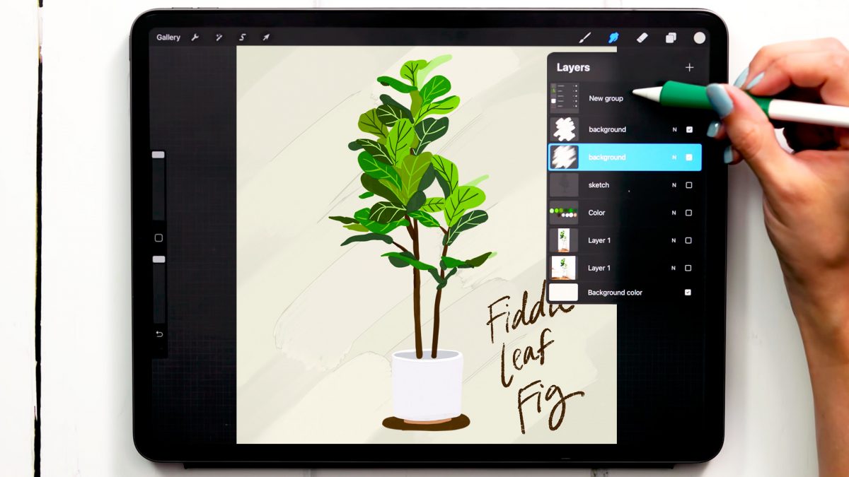 Paint a Gouache Fiddle Leaf Fig Tree in Procreate