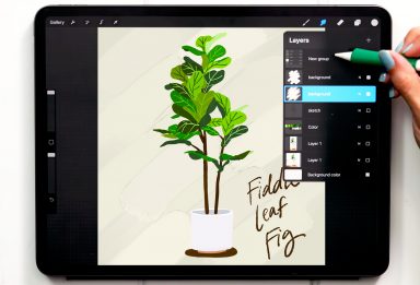 Paint a Gouache Fiddle Leaf Fig Tree in Procreate